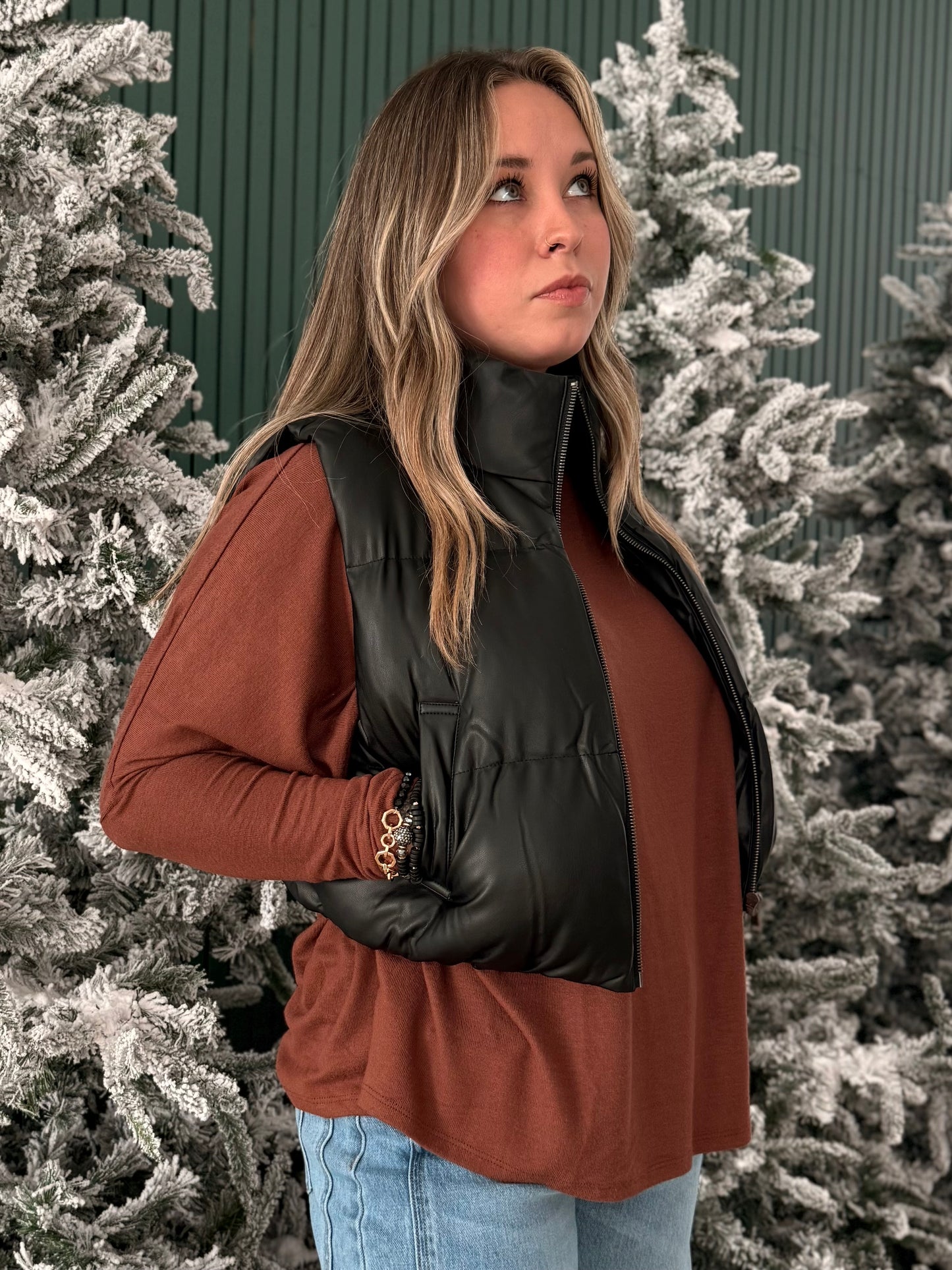 Black Ice Puffer Vest