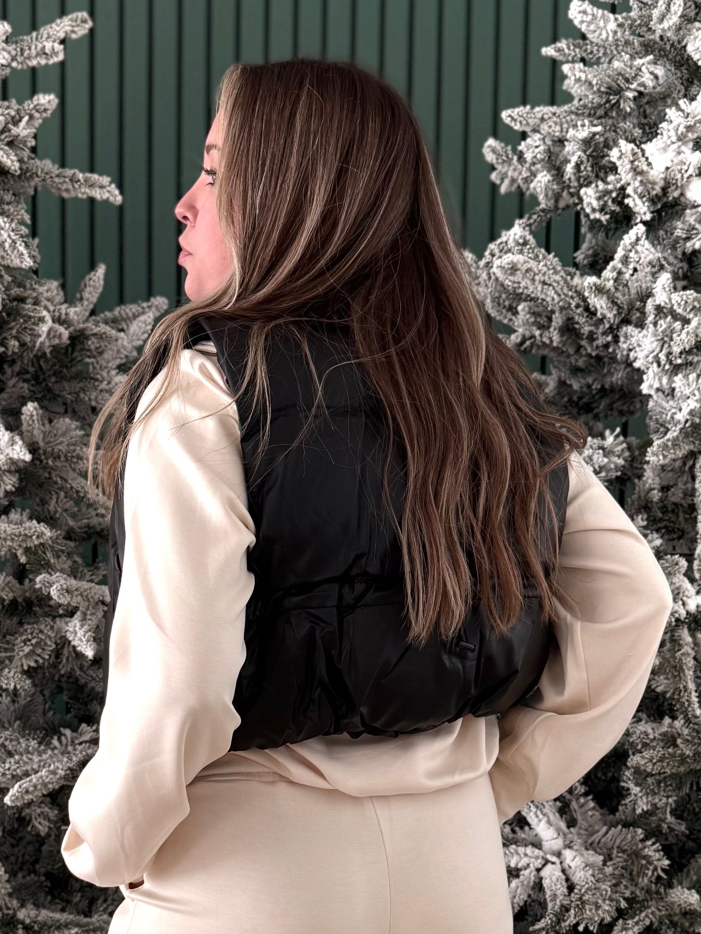 Black Ice Puffer Vest