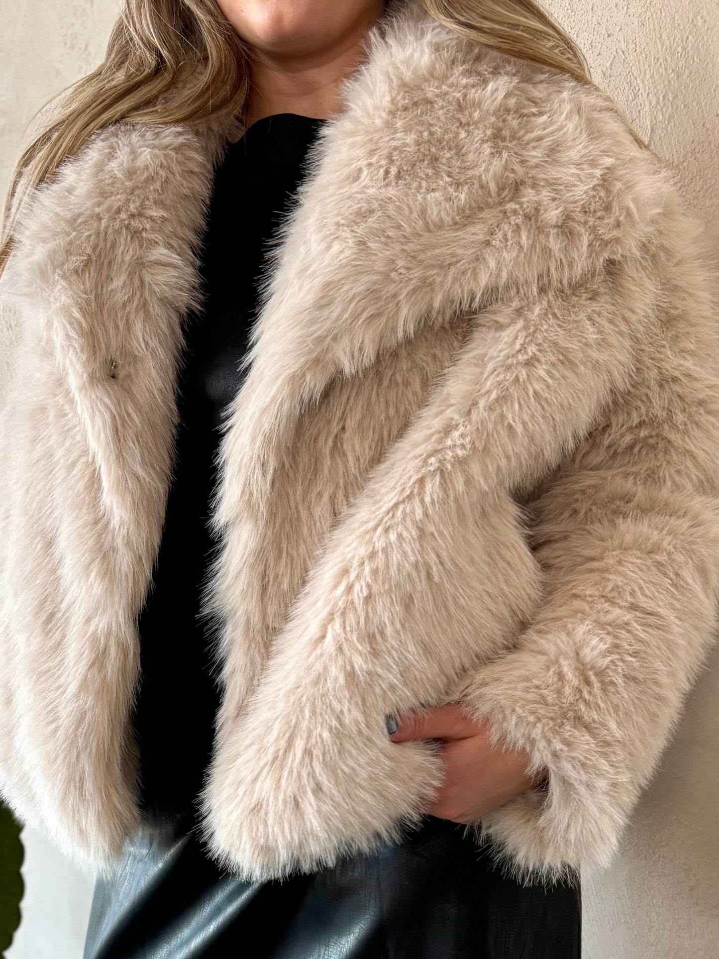 Snow Day, and All Night Coat