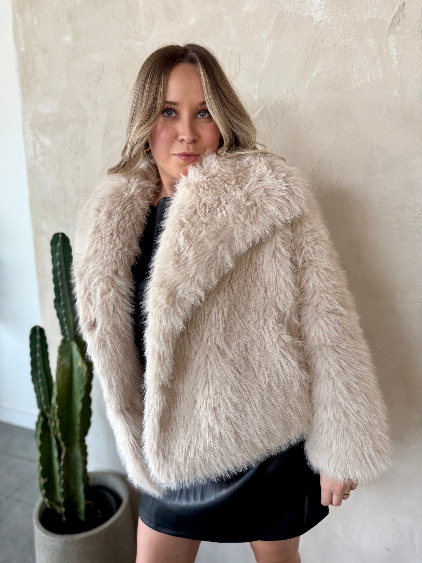 Snow Day, and All Night Coat